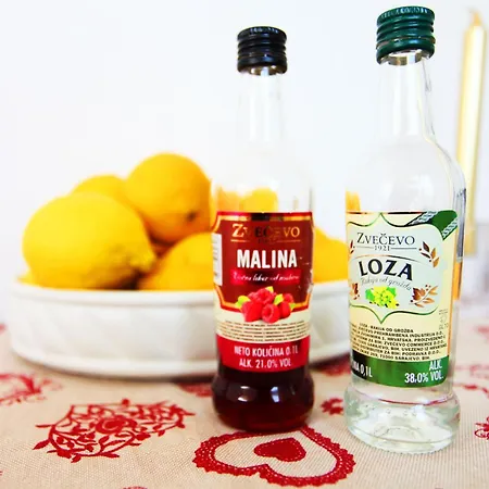 Lidija Mit Terrasse Und Meerblick By Interhome Daire