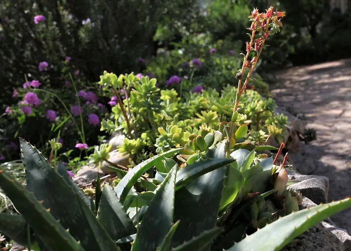 아파트 Lidija Mit Terrasse Und Meerblick By Interhome 두브로브니크