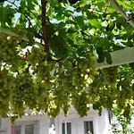 아파트 Lidija Mit Terrasse Und Meerblick By Interhome