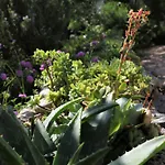 아파트 Lidija Mit Terrasse Und Meerblick By Interhome 두브로브니크